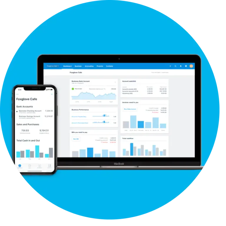 7 Game-Changing Reasons Why Xero Accounting Software Is Perfect (and Not) for Your Business